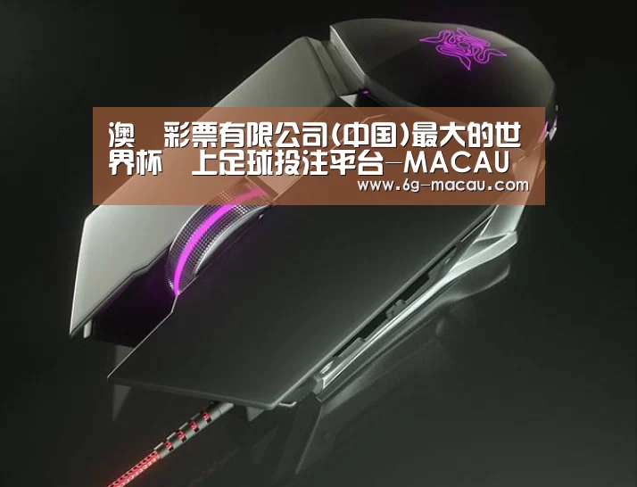鼠标封面设计